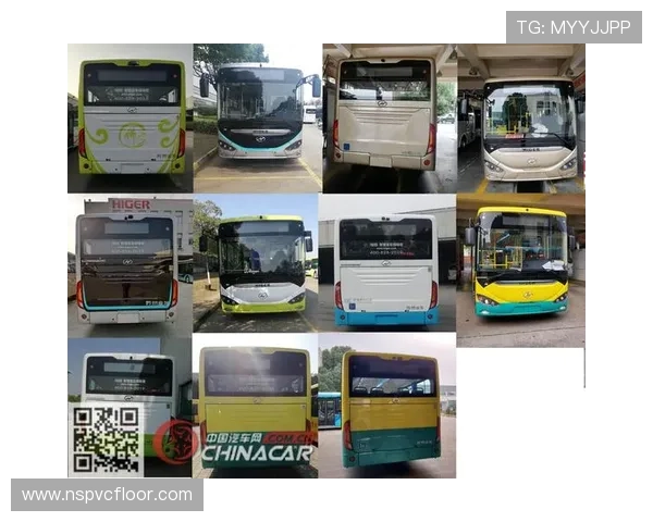 亚星网站注册登录常见问题及解决方案全攻略