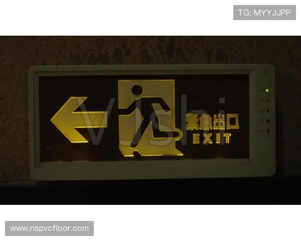 亚星官网手机官方地址官方入口最新更新，提供稳定安全的登录通道