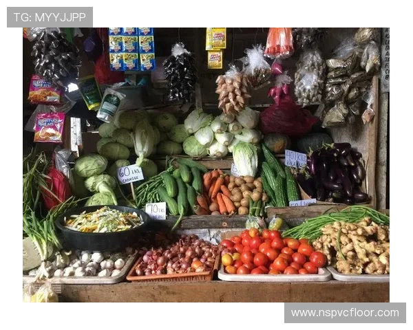 亚星游戏官网222菲律宾安全保障措施，确保玩家个人信息与资金安全